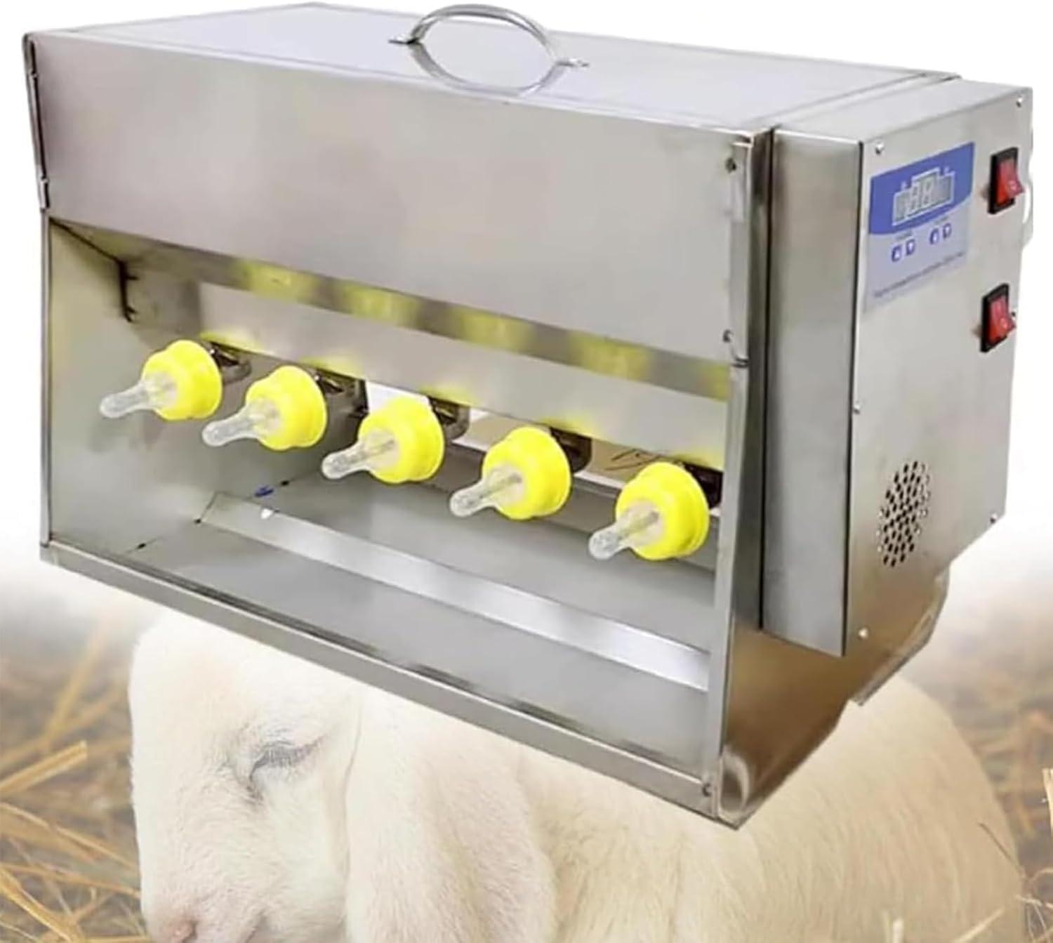 Revolutionizing Piglet Feeding: Our Experience with the 10-Head Automated Feeder
