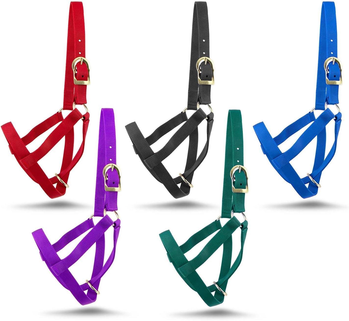 We Review: Jeffers' Heavy-Duty Nylon Cow Halter