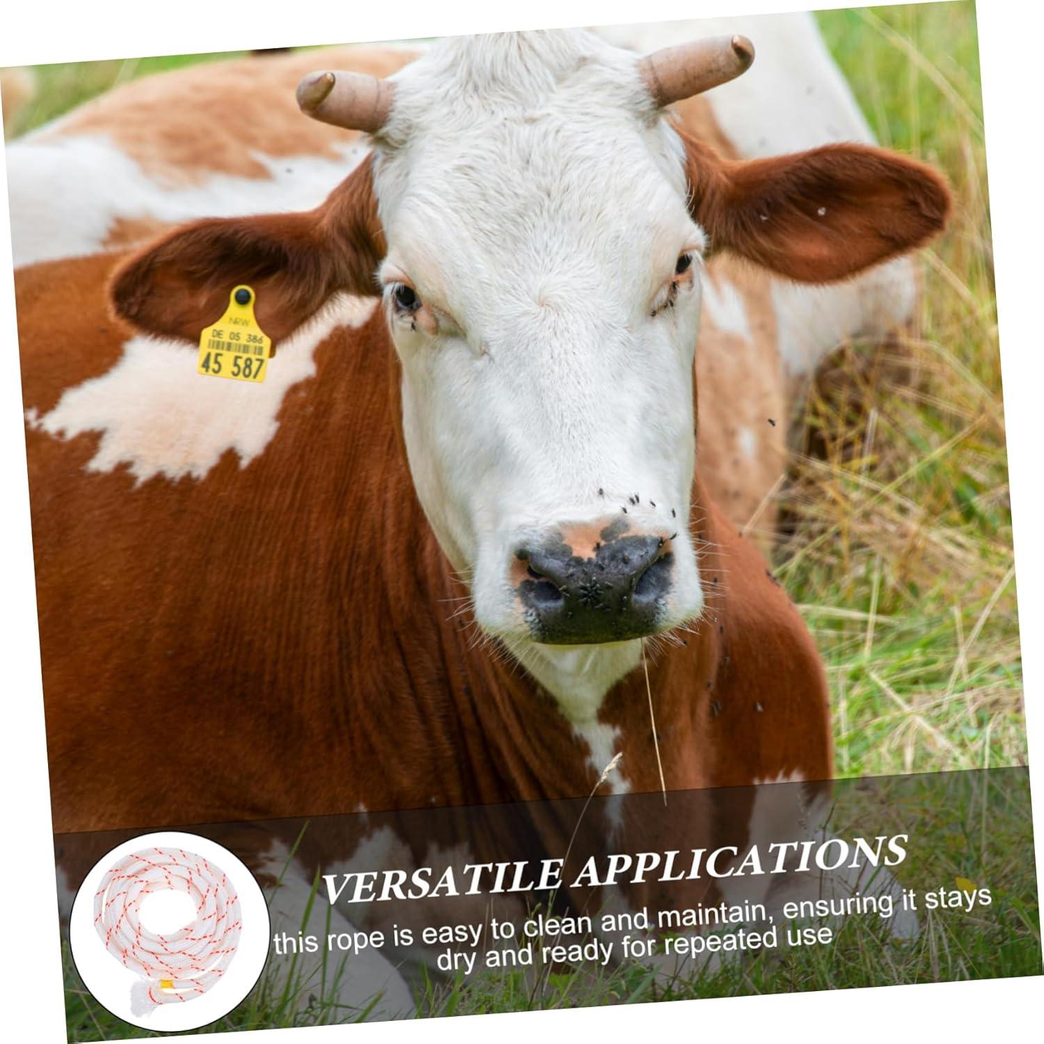 Our Review: ‍Secure Grip Cattle Rope for Livestock Control