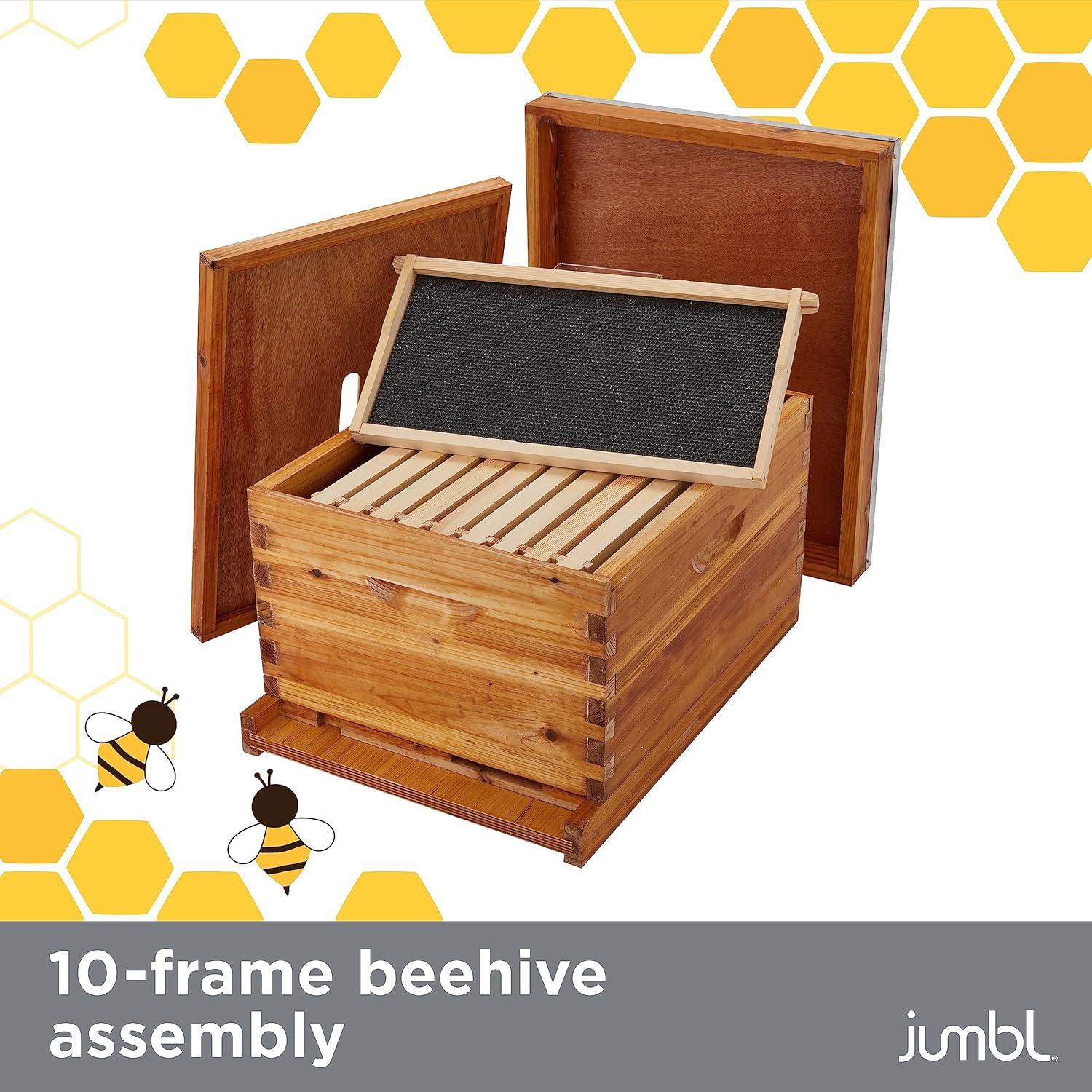 Buzzing with Excitement: Our Complete Review of the Jumbl Beekeeping Starter Set
