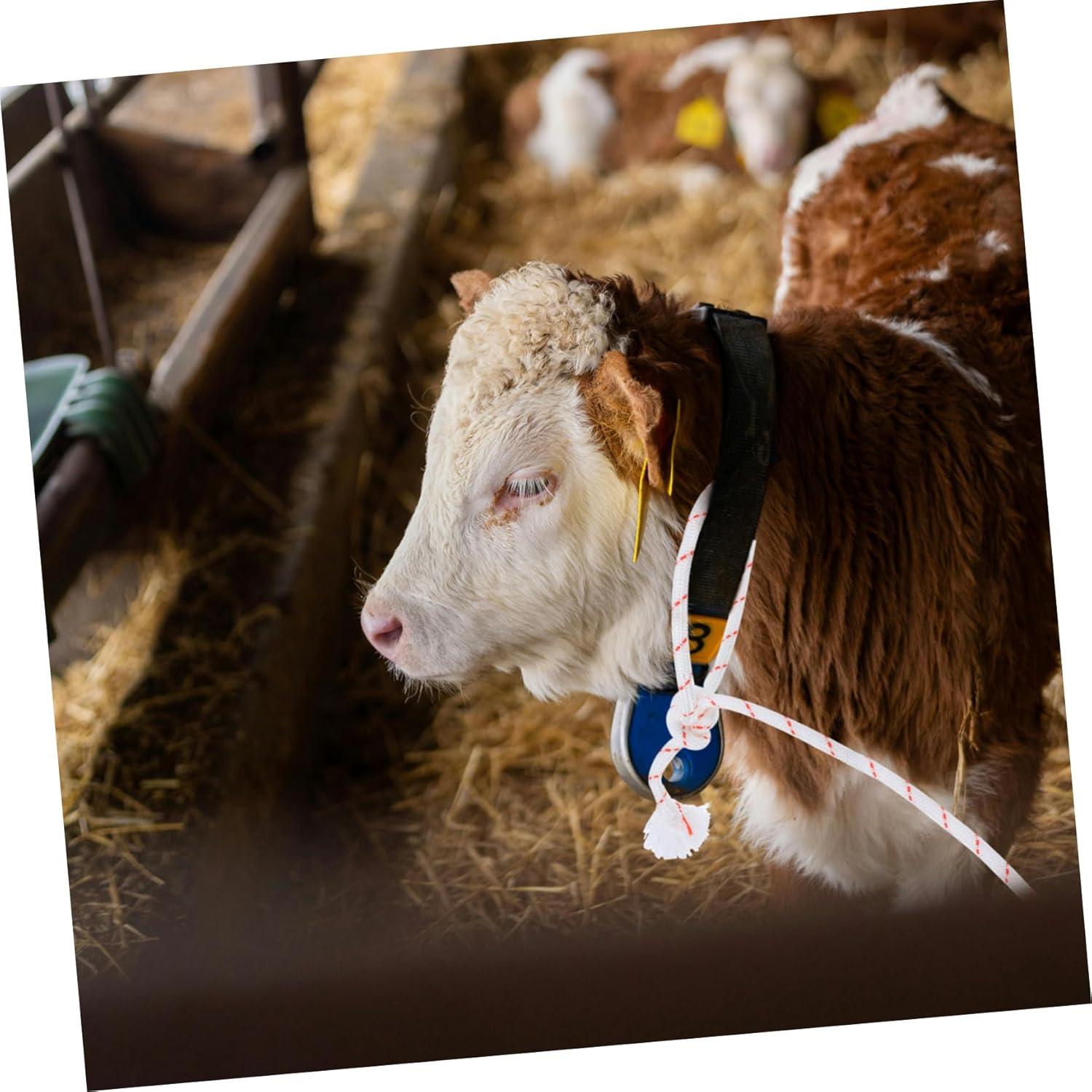 Mastering Livestock Control: Our Review of the ‌Durable⁣ Neck Rope for Cattle &⁢ More