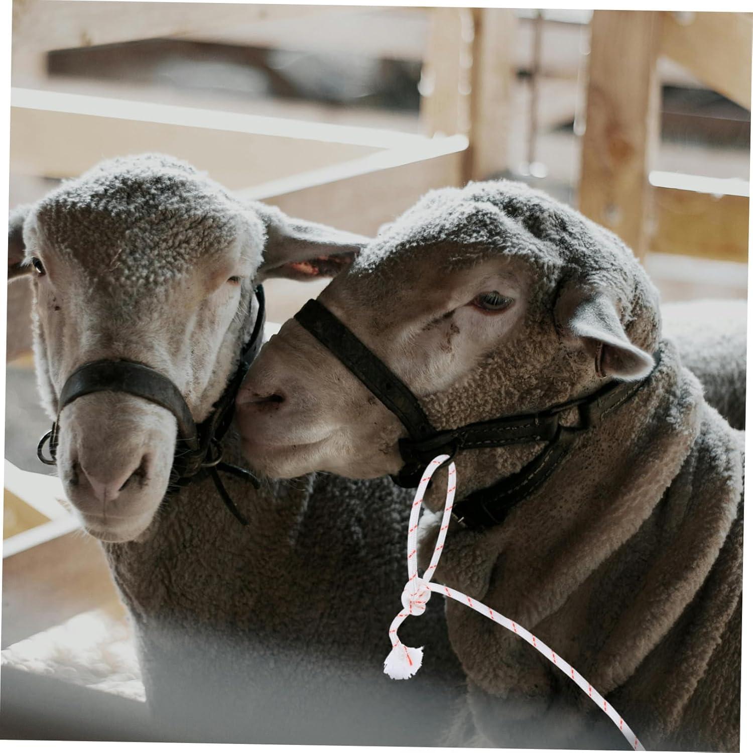 Mastering Livestock​ Control: Our Review of the ‌Durable Neck Rope for Cattle ⁢& More