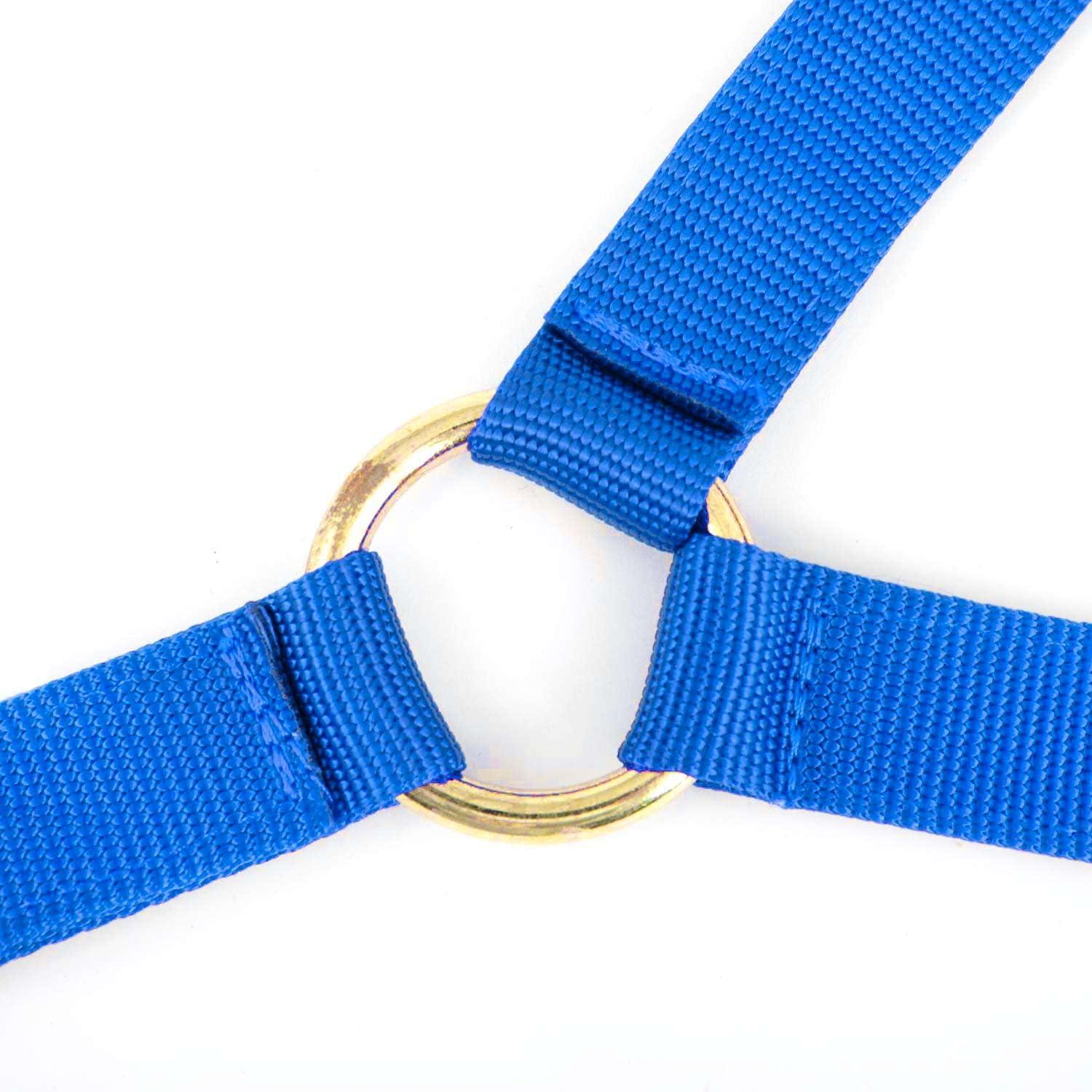 We Review: Jeffers' heavy-Duty Nylon Cow Halter
