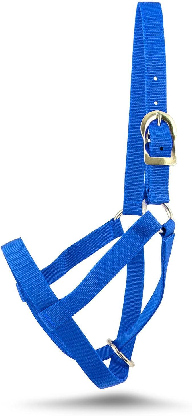 We Review: Jeffers' Heavy-Duty ​Nylon Cow Halter