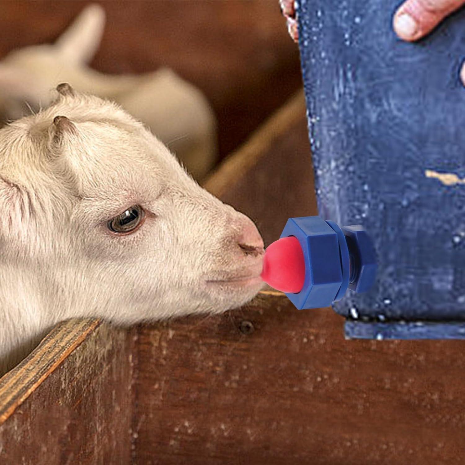 Our ‍Review: Efficient Livestock Feeding⁣ Solution for Farm Animals