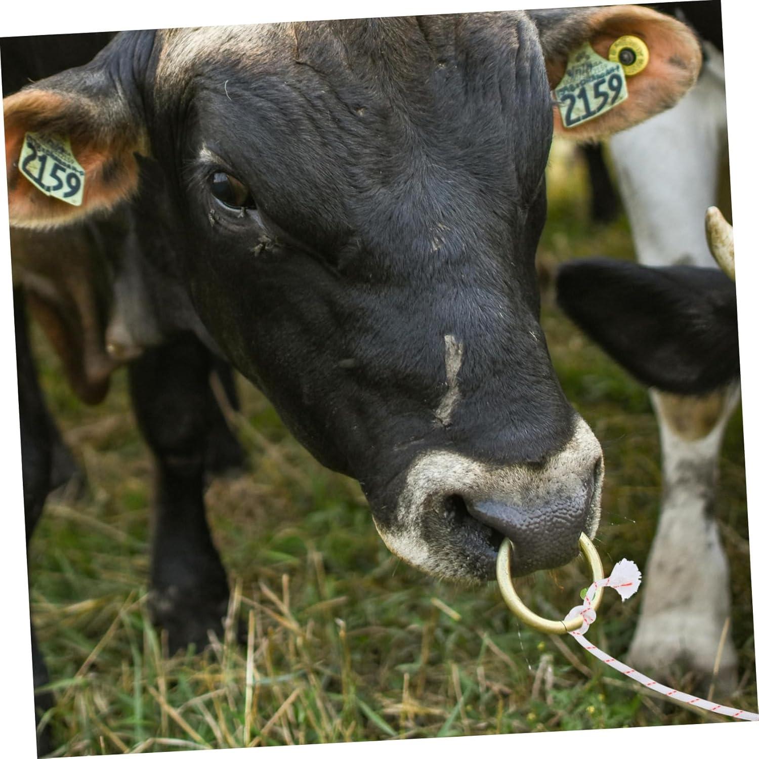 Mastering‍ Livestock Control: ⁢Our Review of the Durable Neck Rope for Cattle & ​More
