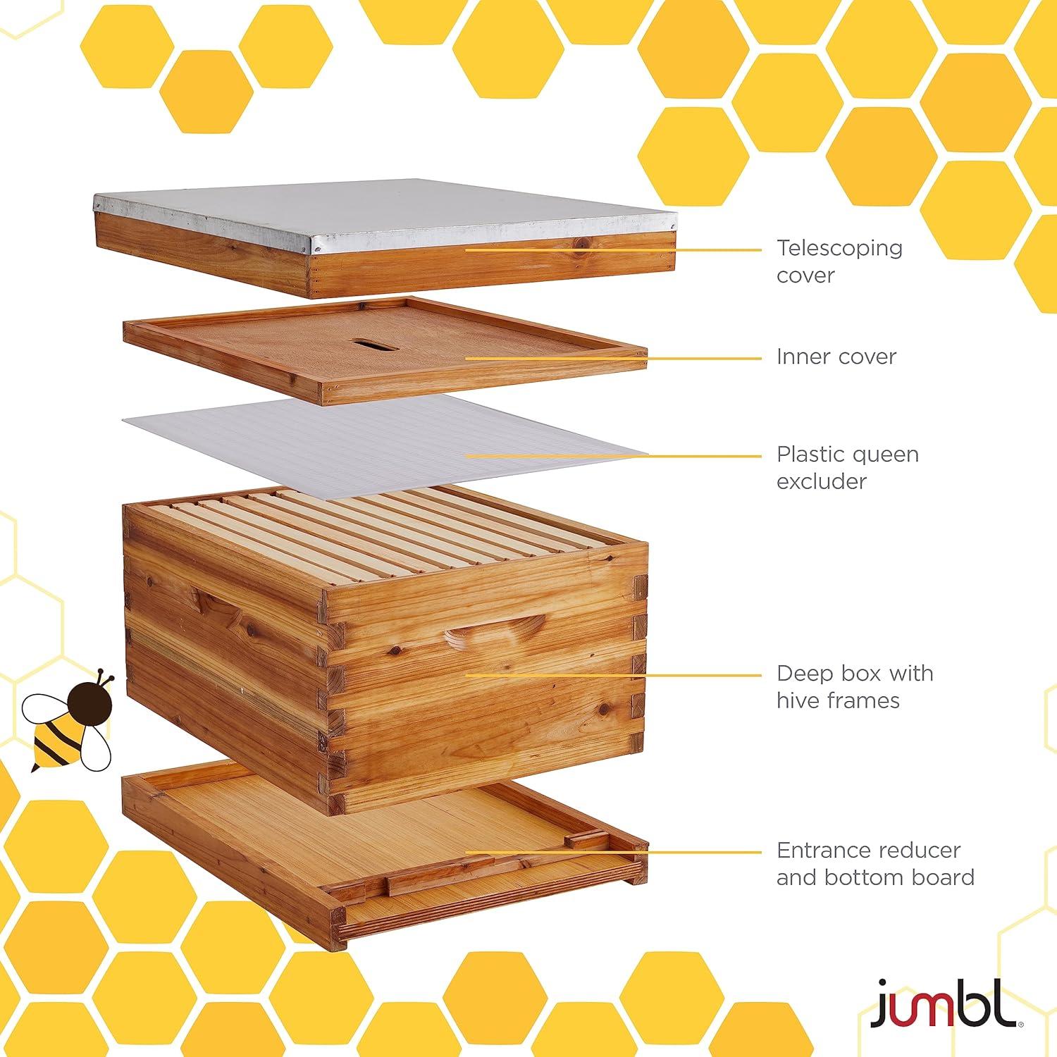 Buzzing with Excitement: ‍our complete Review of the Jumbl Beekeeping Starter ‌Set