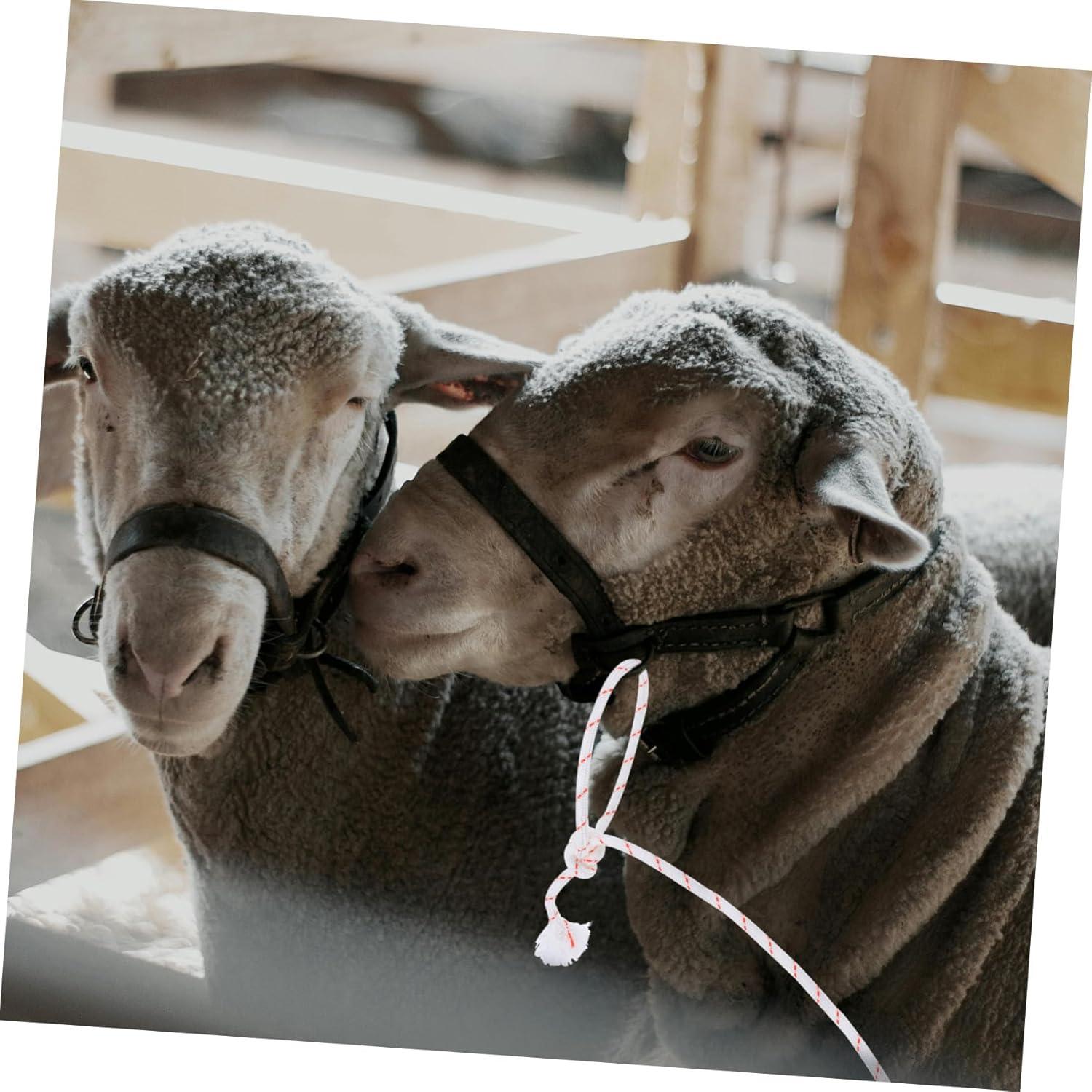 Our Review: Secure Grip Cattle Rope for Livestock Control