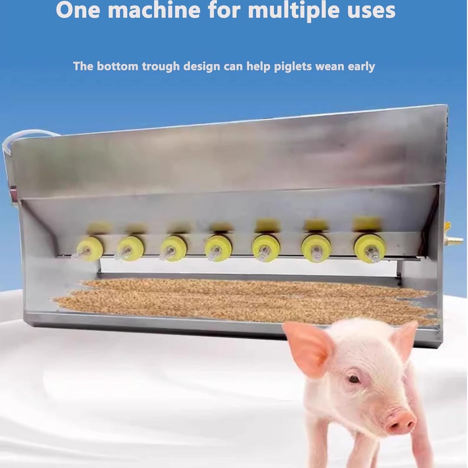 Revolutionizing Piglet Feeding: Our Experience with⁣ the 10-Head Automated Feeder