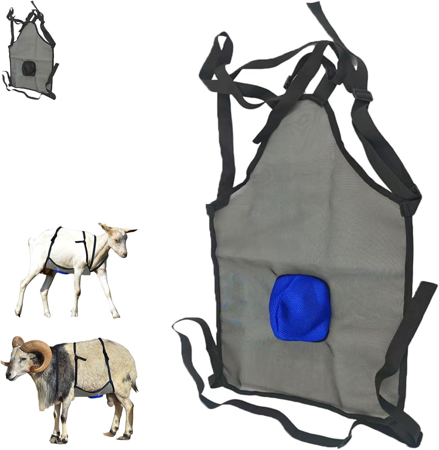 We Review: The Ultimate Goat Breeding Control Apron