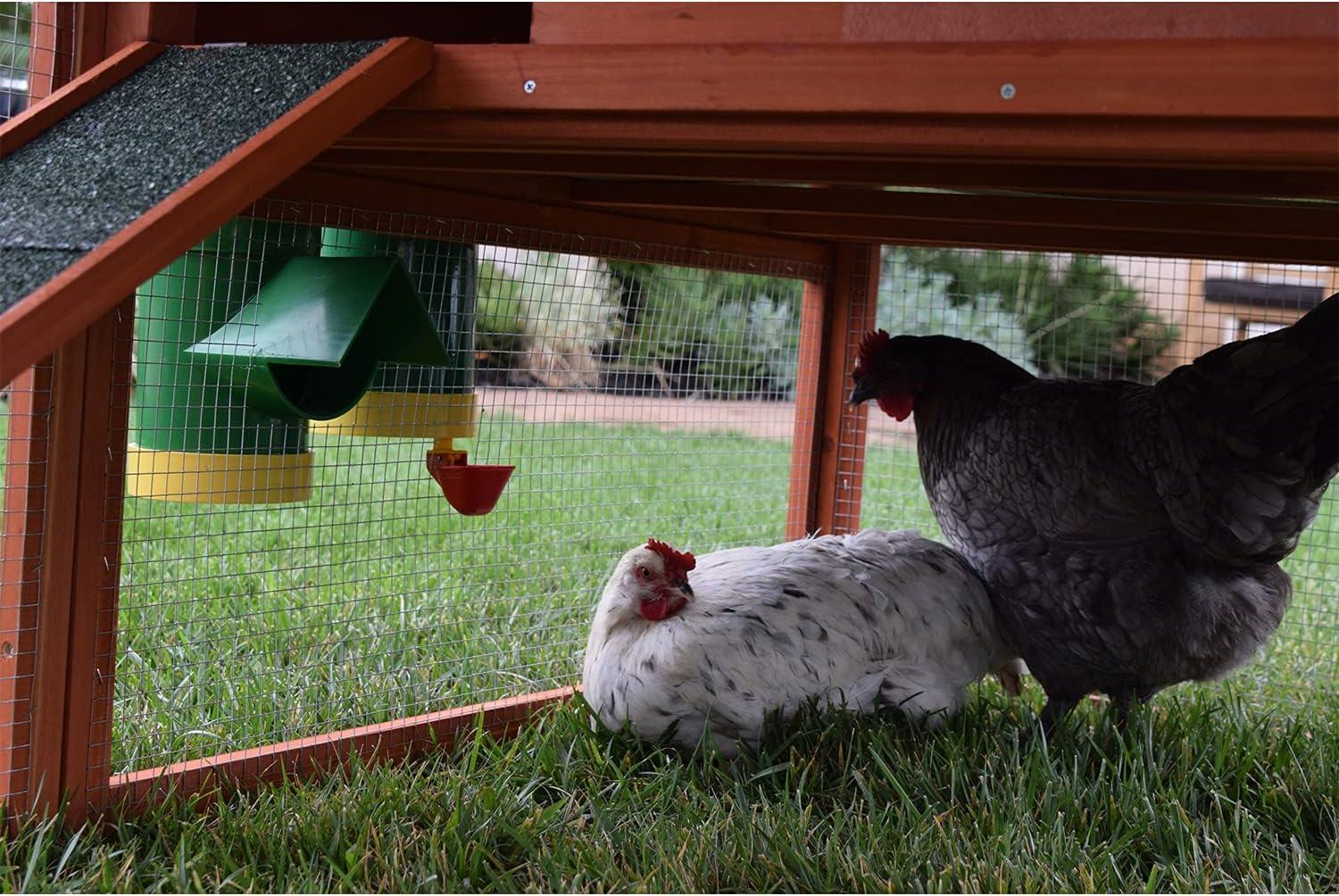 Our Review: Rugged Ranch⁣ Feeders Keep Coops⁣ Tidy​ & Dry