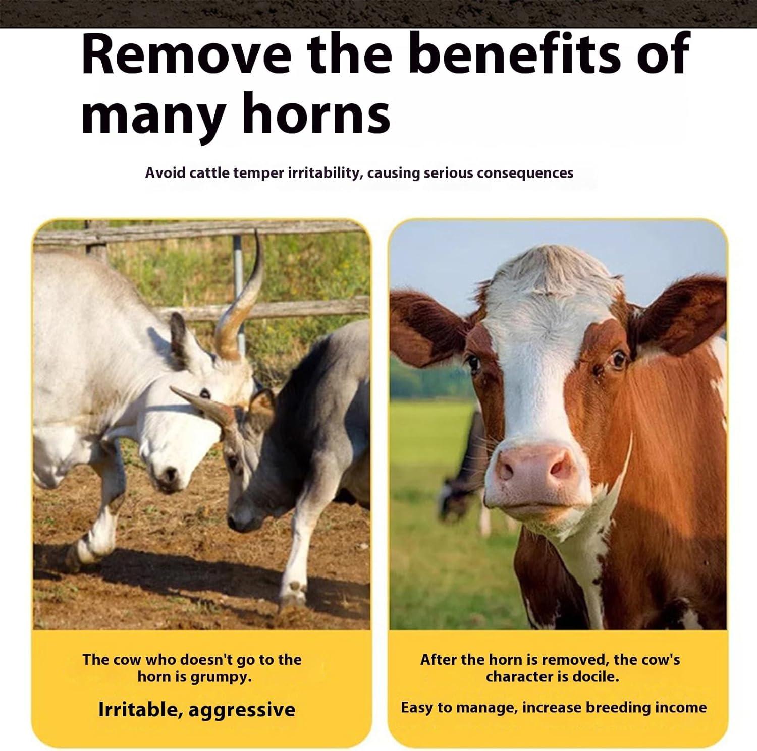 Our‌ Review: The Electric Dehorner ⁤That's ​Revolutionizing‍ Cattle Care
