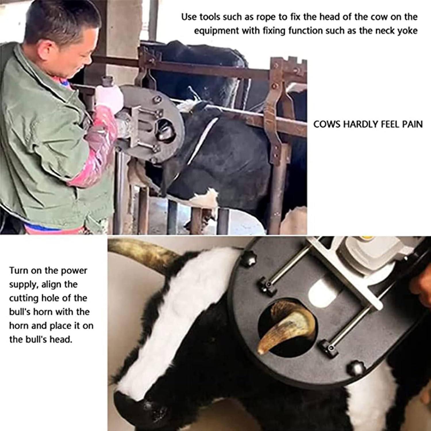 Our Review of the 1700W Electric Horn Cutter: Painless ‌Dehorning Made Easy