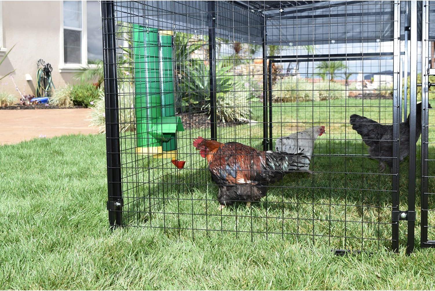 Our review: Rugged​ Ranch feeders Keep Coops Tidy & Dry