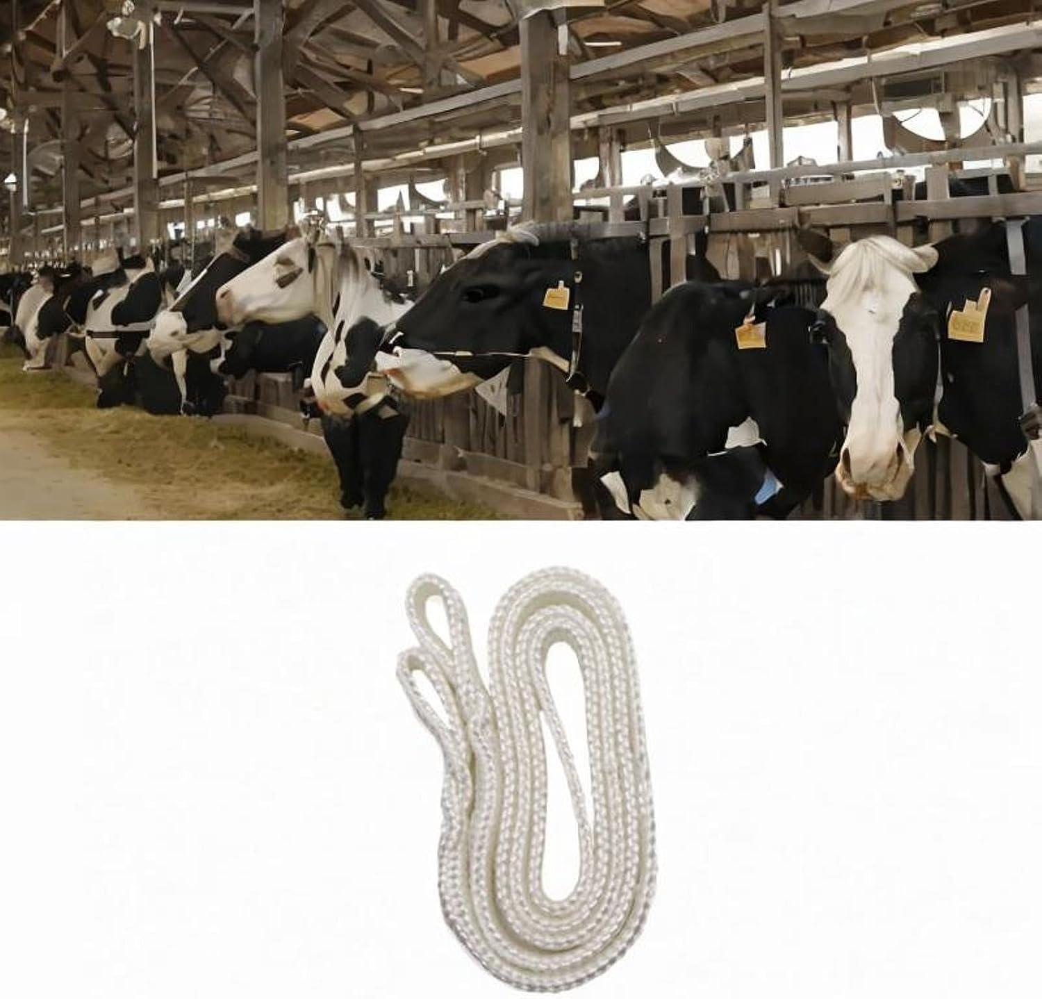 our Take on the Essential Calving Rope for Modern Farms