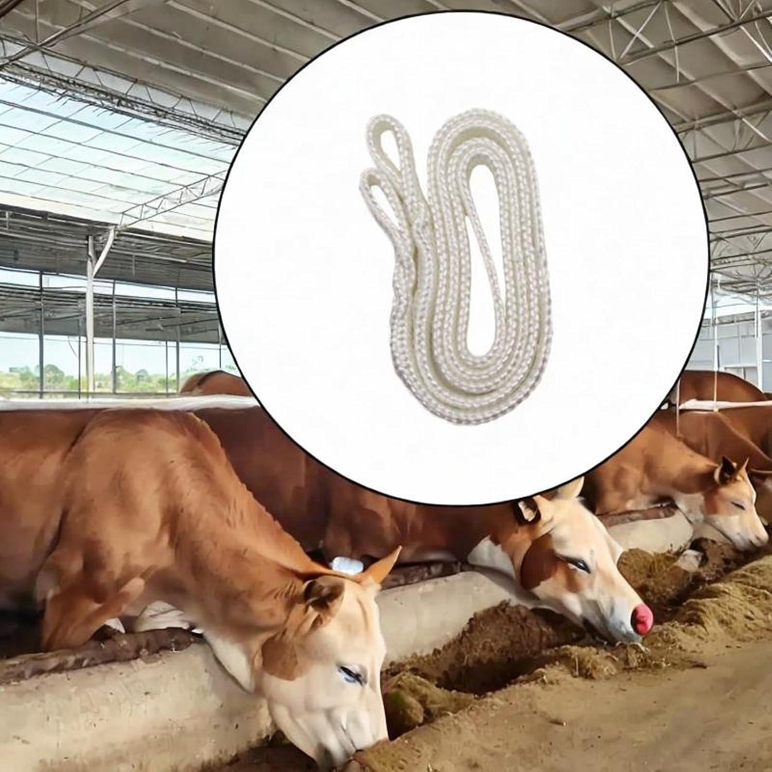 Our Take on ⁢the Essential Calving Rope for Modern Farms
