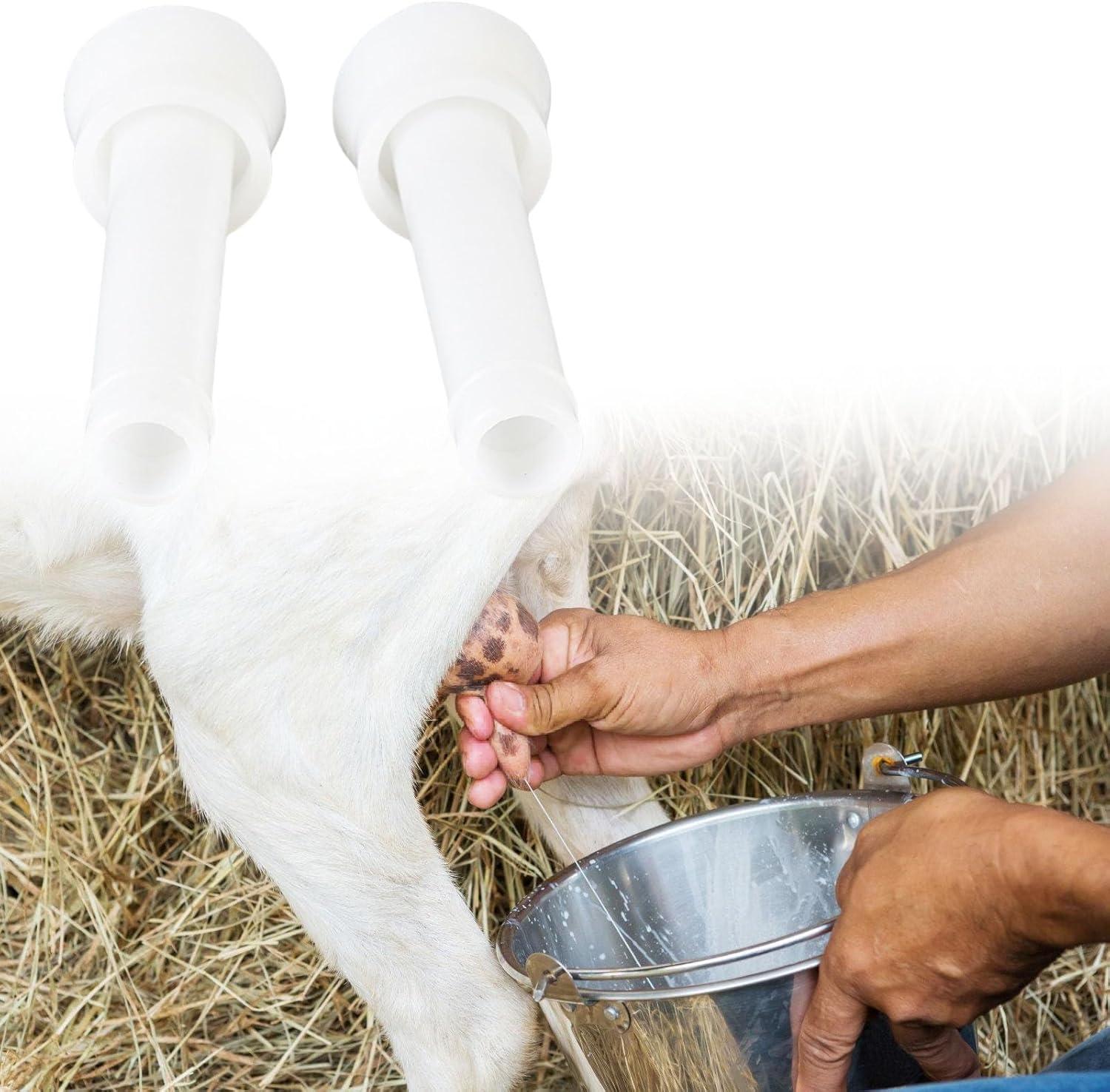 Our Review: Silicone Milking Liners for Efficient Dairy Operations