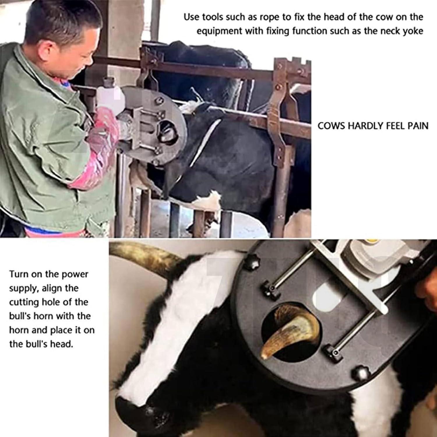 We Review: 1700W Electric Dehorner ⁢for ⁤Safer cattle Management