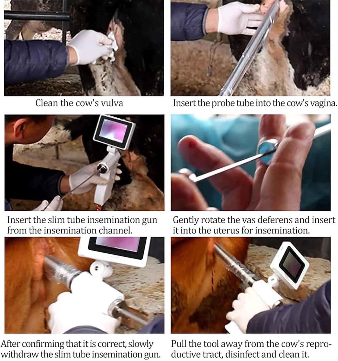 Our Review: Top-Notch Visual Insemination Gun for Modern Breeding