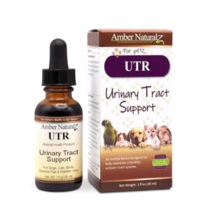 An In-Depth Review of Amber NaturalZ UTR for Pet Bladder Health