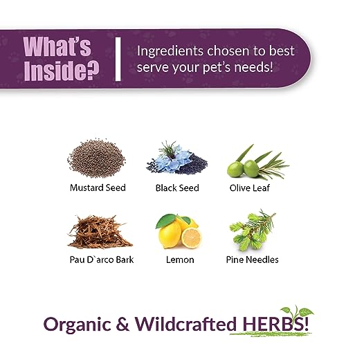 An In-Depth Review of Amber NaturalZ UTR for Pet Bladder Health - Image 3