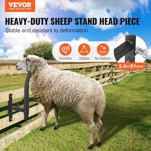 VEVOR Livestock Trimming Stand: A Deep Dive Review - Image 2