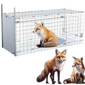 Effective & Spacious: Review of the 42" Humane Live Animal Trap