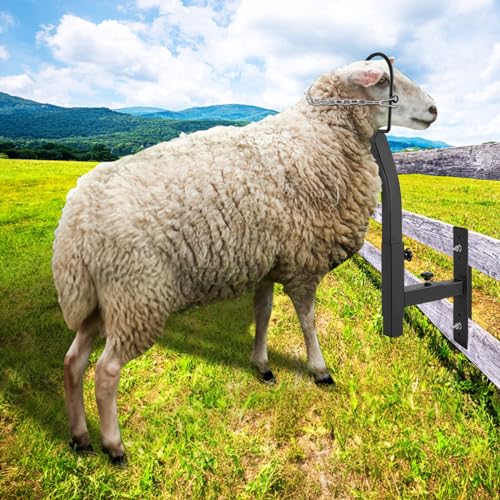 VEVOR Livestock Trimming Stand: A Deep Dive Review - Image 8