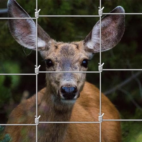 Unyielding Protection: YXJSTO 4FT Livestock Fence Review - Image 6