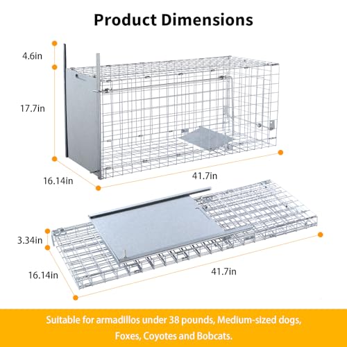 Effective & Spacious: Review of the 42" Humane Live Animal Trap - Image 2