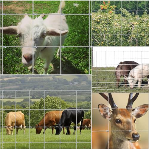 Unyielding Protection: YXJSTO 4FT Livestock Fence Review - Image 9