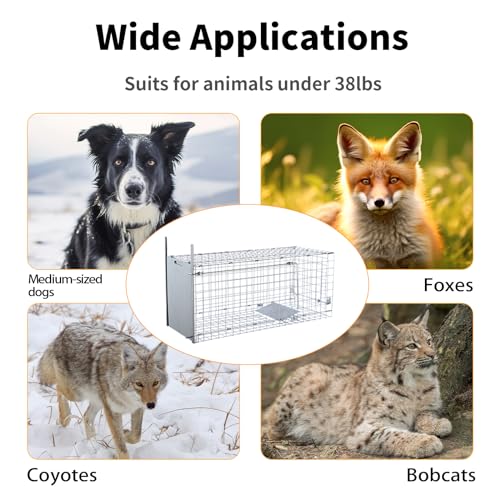 Effective & Spacious: Review of the 42" Humane Live Animal Trap - Image 6