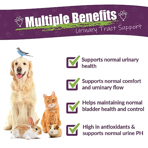 An In-Depth Review of Amber NaturalZ UTR for Pet Bladder Health - Image 2