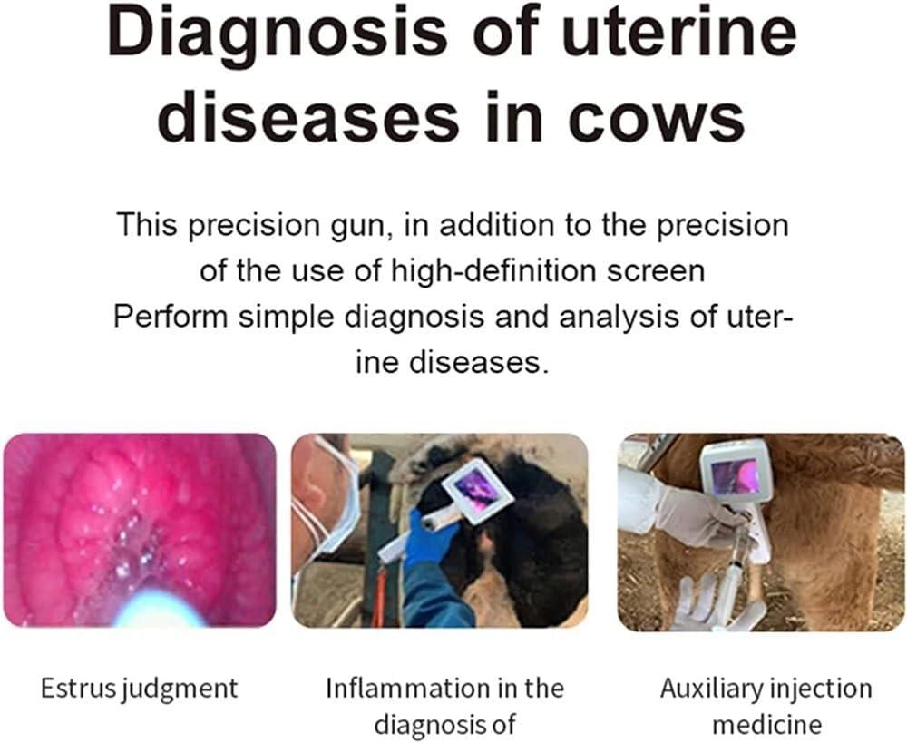 Our Review: Advanced LCD Insemination Gun for Livestock