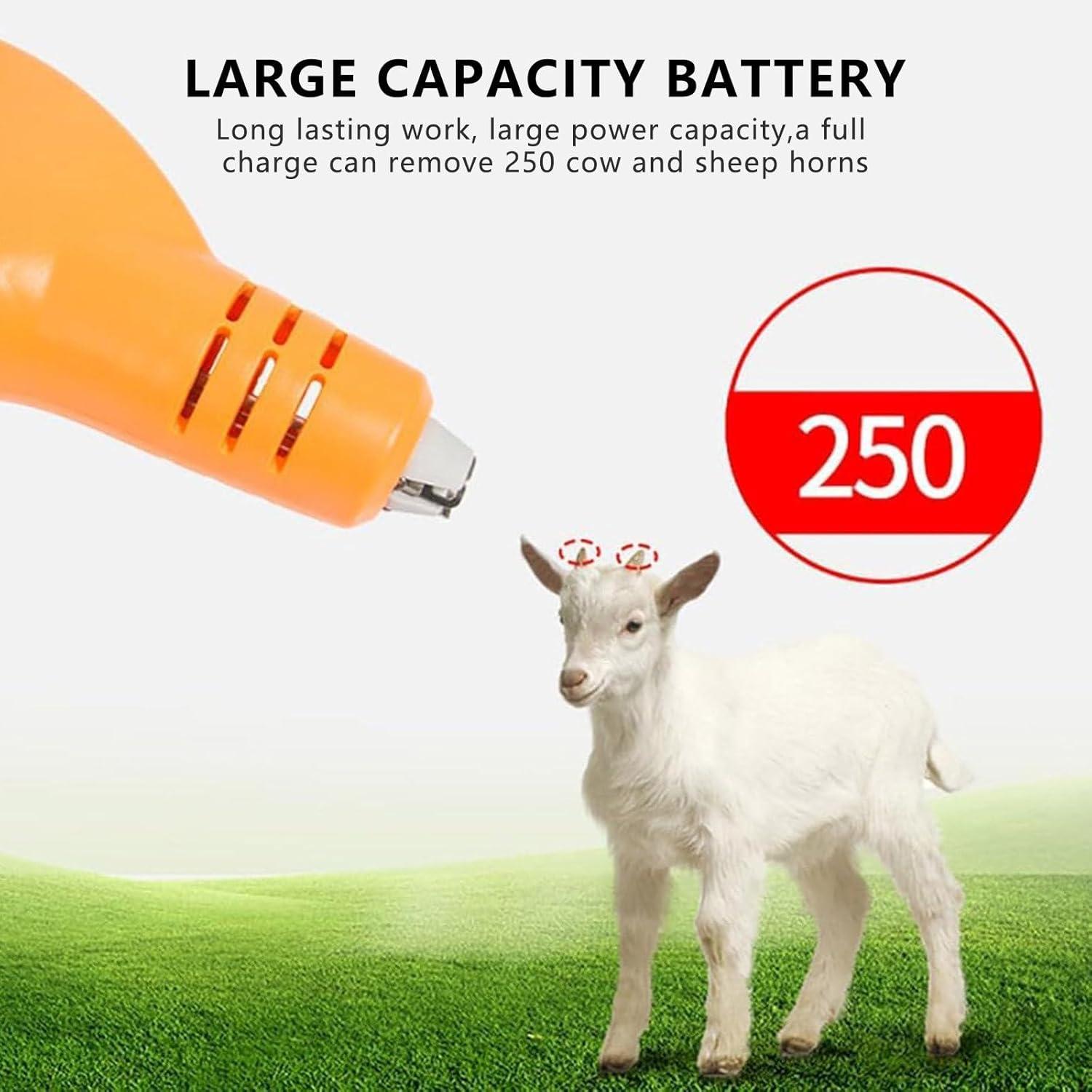 We Review the Fast & Efficient Cordless Dehorner for Your Farm