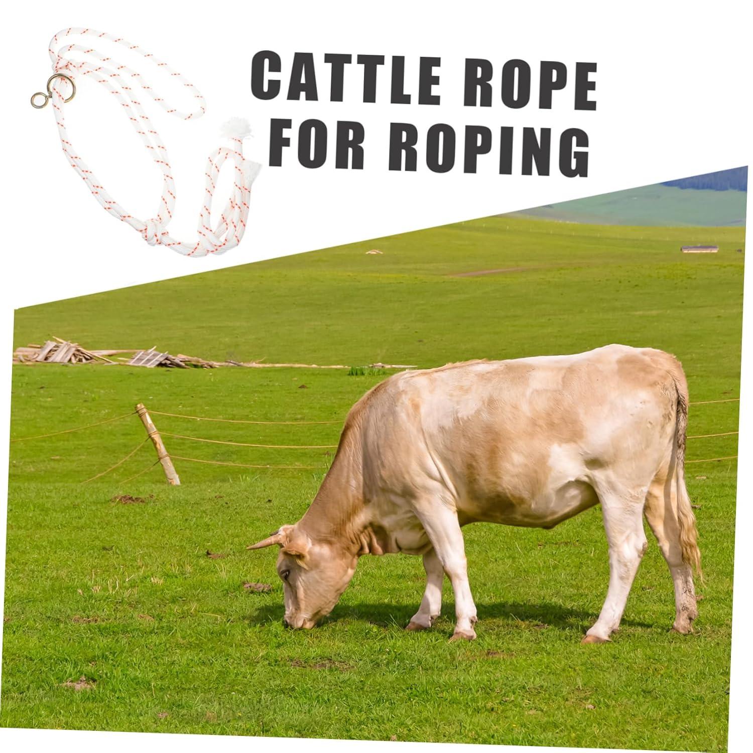 Our Top‌ Pick: ⁤Durable Rope Cattle ⁣Halter for Farm Safety