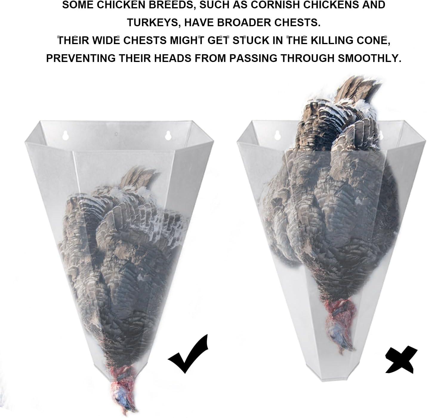 Our Hands-On Review: Is This 8lb Chicken Cone Worth It?