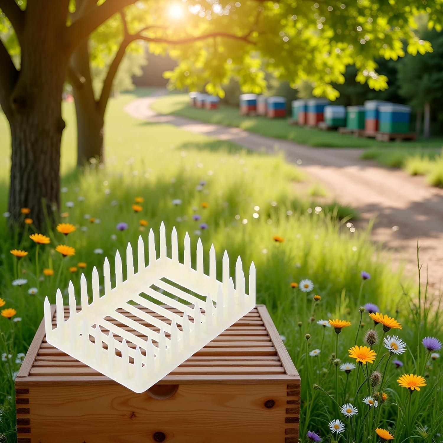 Exploring Our Essential Queen‌ Bee Marker Cage: A Review