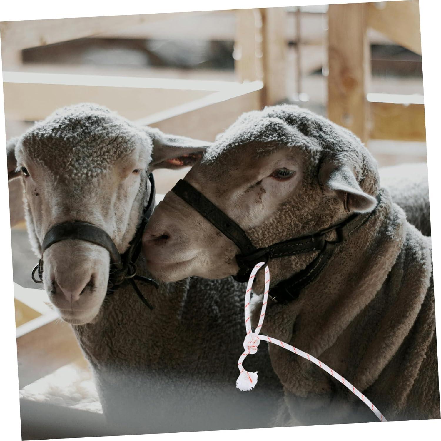 Our ​Verdict: HEMOTON Livestock Rope for Secure‌ Farm control