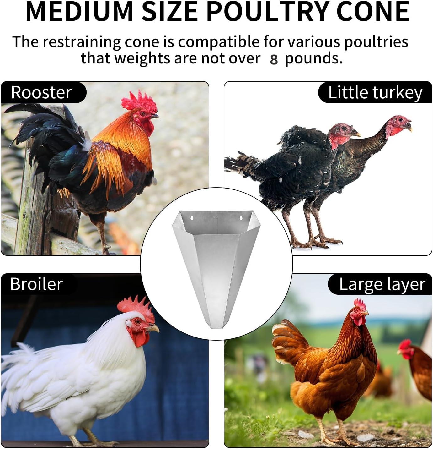 Our Hands-On⁣ Review: Is This 8lb​ Chicken Cone Worth ⁢It?
