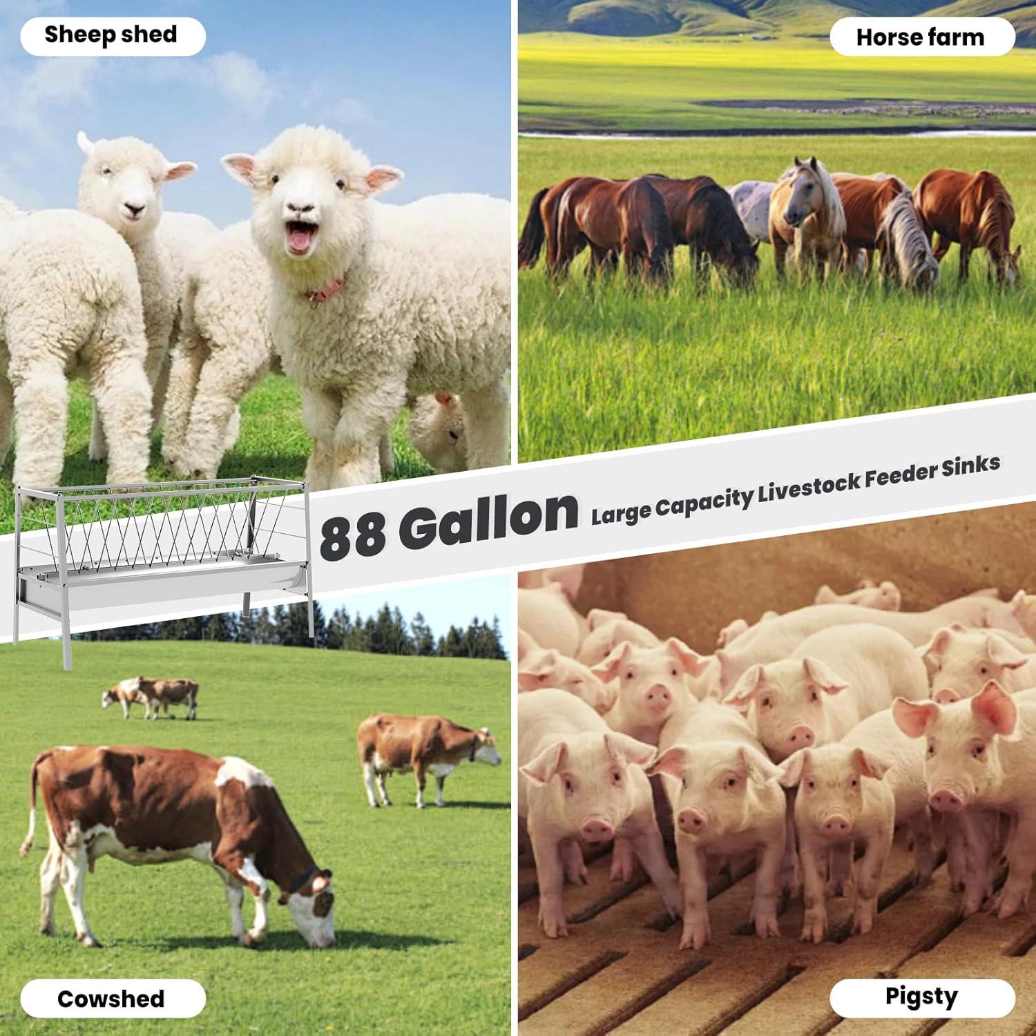 Our Review: 88-Gallon Goat Feeder That Revolutionizes Farm‌ Efficiency