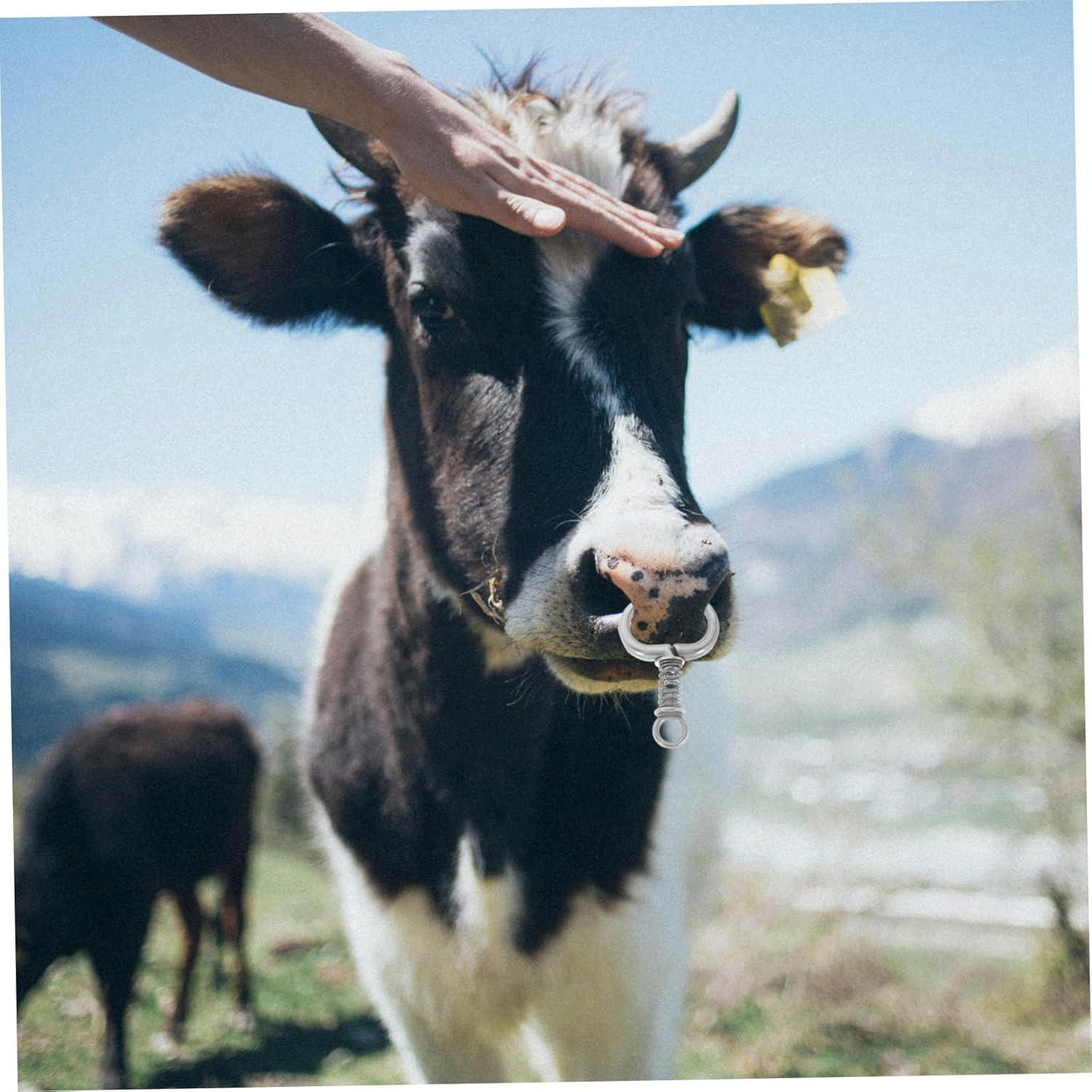 We Review: The ⁤No-pierce Cattle Nose Ring for Humane Farm Management