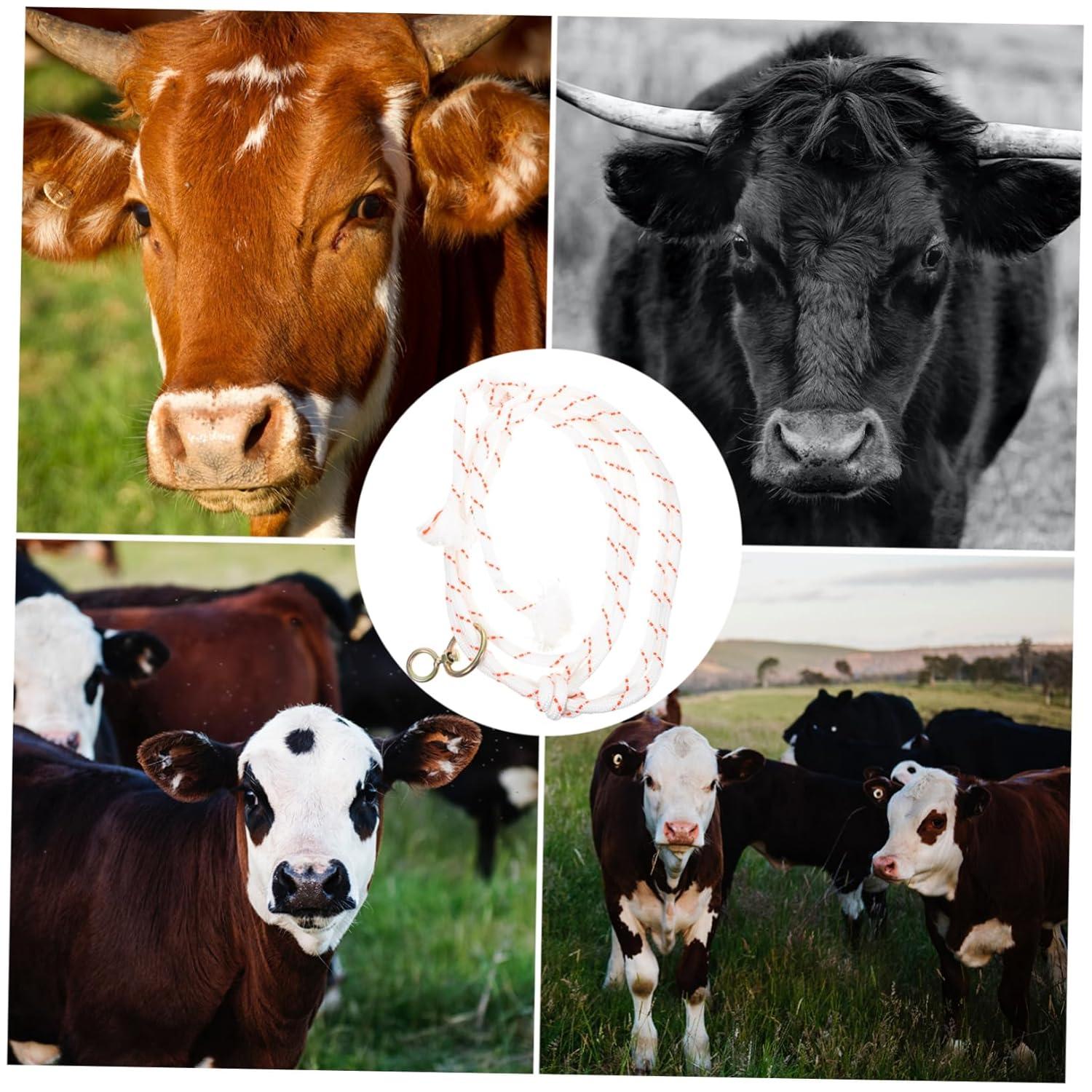 Our Top Pick: ‍Durable⁣ Rope⁣ Cattle Halter ⁤for farm Safety