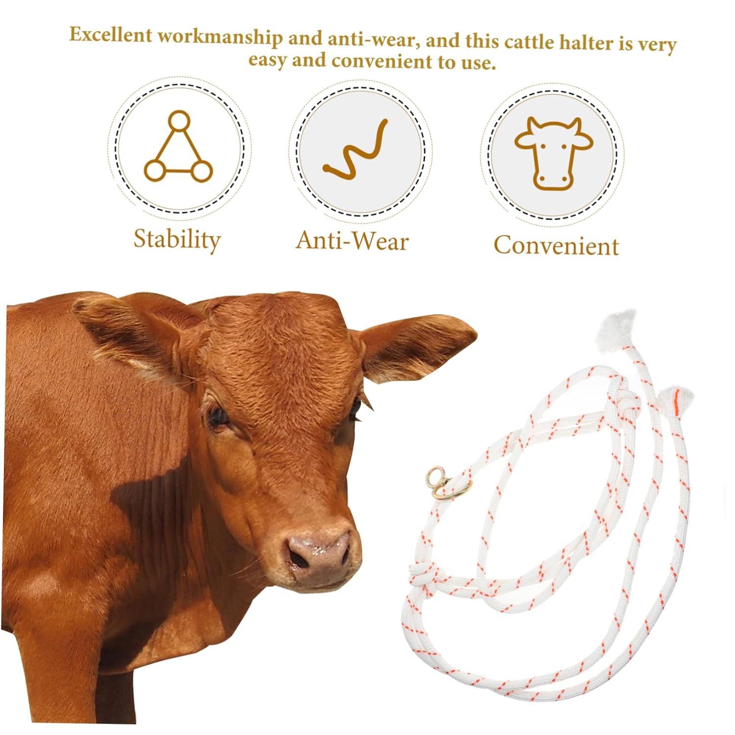 Our Top Pick: Durable Rope Cattle Halter for Farm Safety