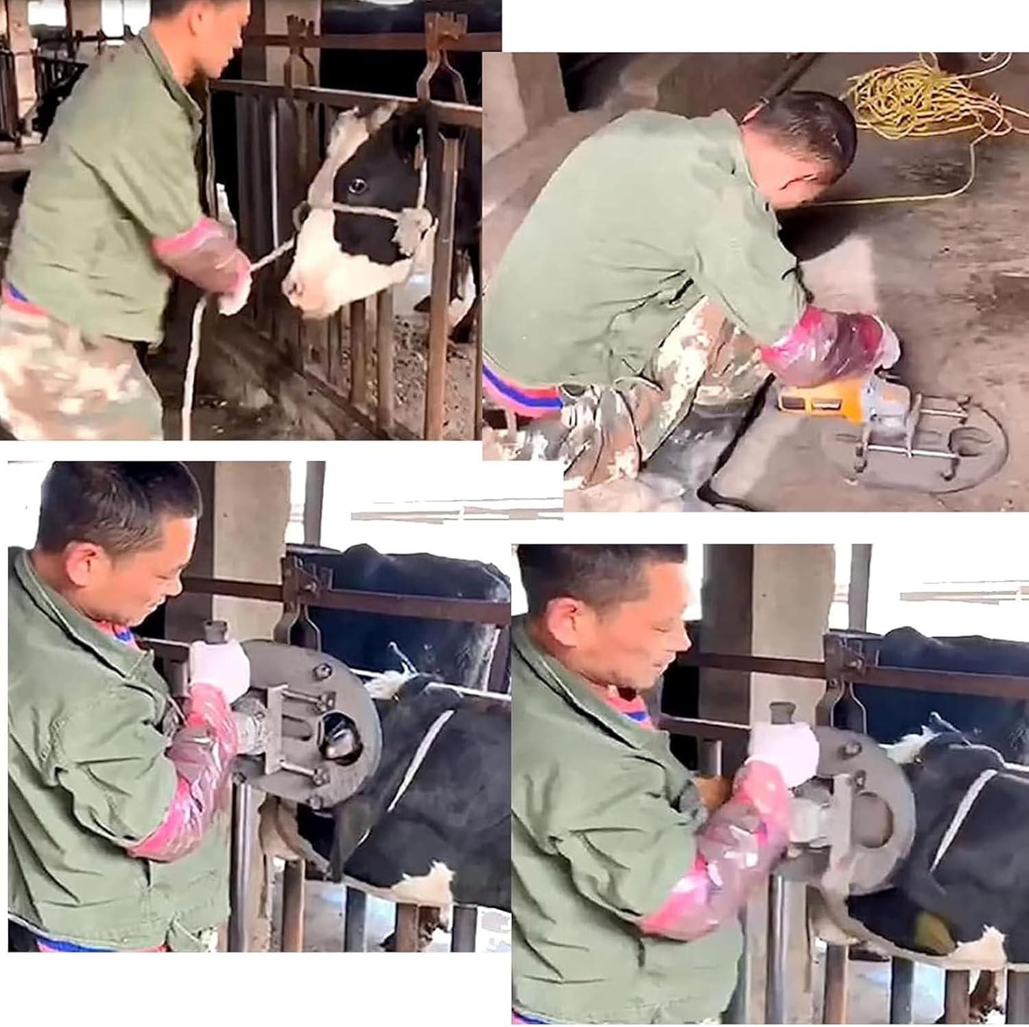We Review the 1900W Electric Dehorner: A Livestock Handler's Essential Tool