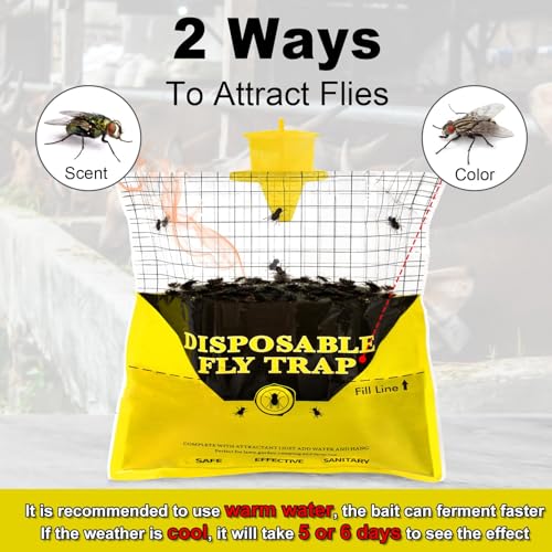 Effective Outdoor Fly Traps: A Review of Glovv Fly Hunter - Image 3