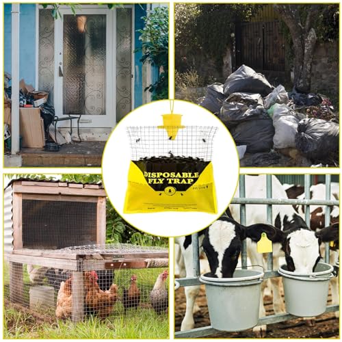 Effective Outdoor Fly Traps: A Review of Glovv Fly Hunter - Image 8