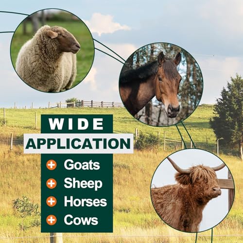 Reviewing the KUAFU Wall Mount Hay Rack: Durable & Versatile! - Image 7