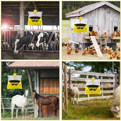 Effective Outdoor Fly Traps: A Review of Glovv Fly Hunter - Image 6