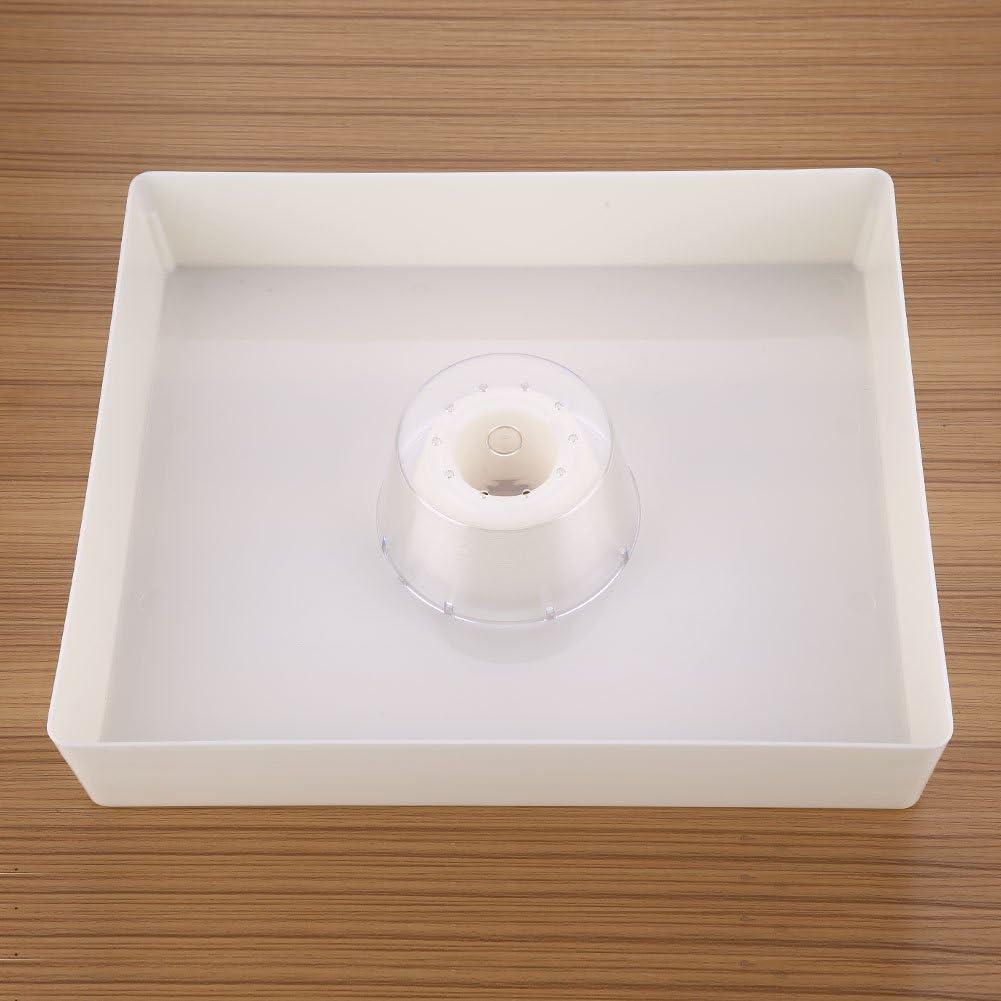 Our Review:‌ Pilipane's 4L Beehive Feeder Keeps Bees​ Buzzing